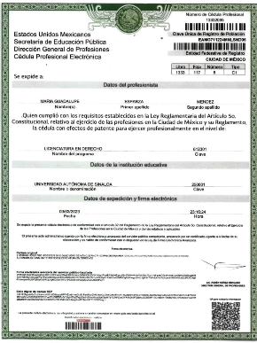 Documento profesional
